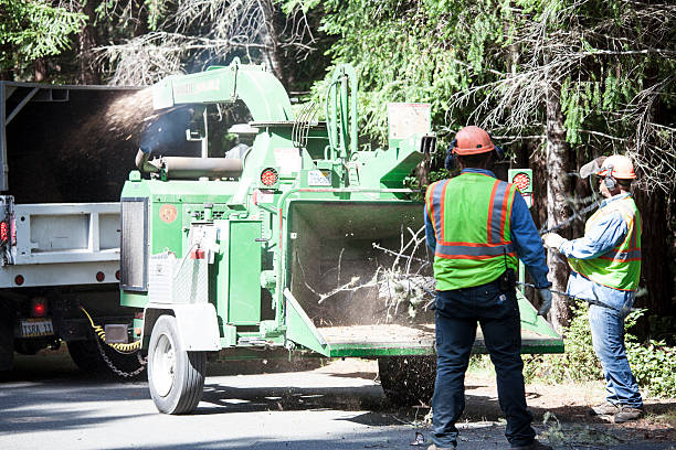 Soil Testing and Treatment in Kingsburg, CA